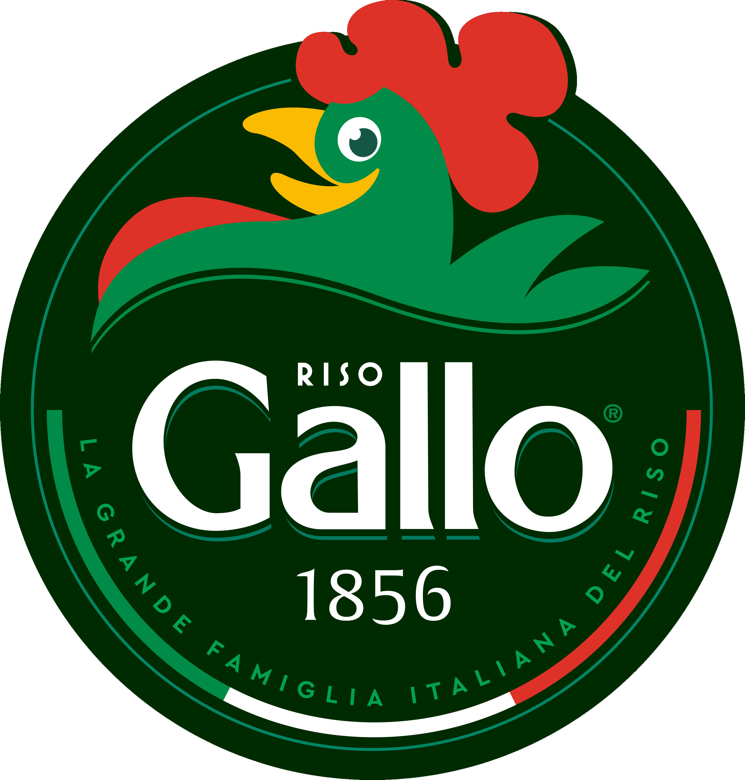 GALLO