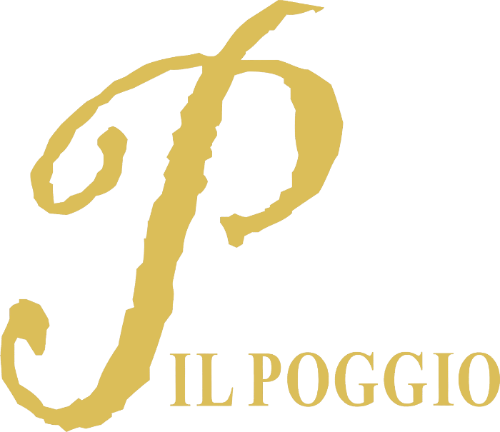 IL POGGIO DI GAVI